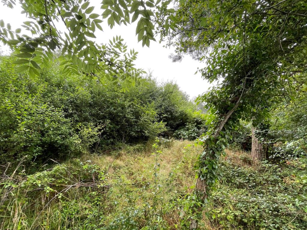 Lot: 178 - VACANT PARCEL OF FREEHOLD LAND - Approx 1 acre Overgrown land to the rear on the royal standard of england pub
